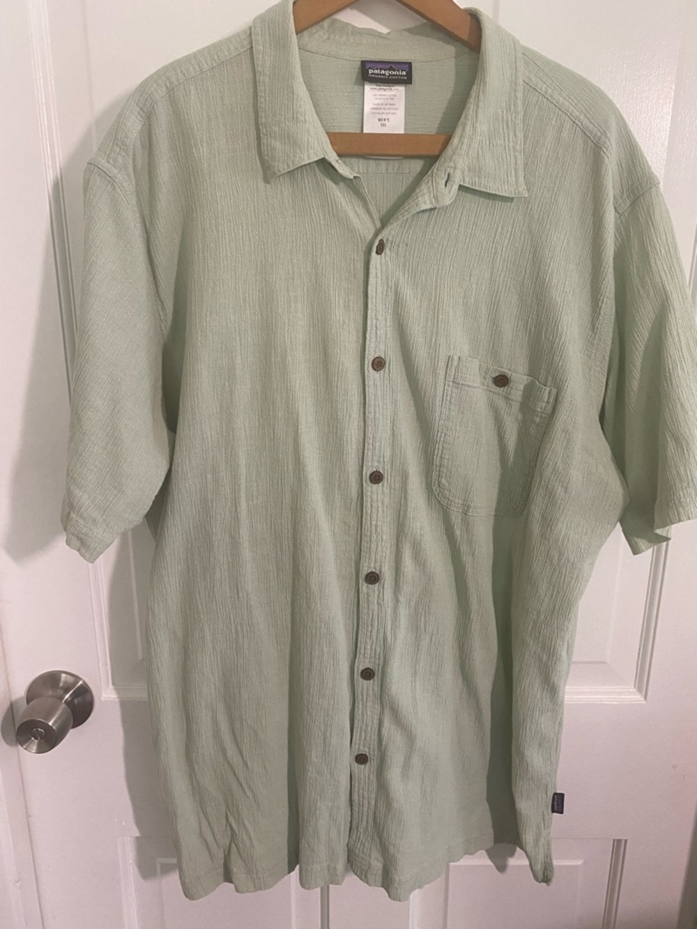 Patagonia Light Sage Green Short-Sleeve Button-Down Shirt